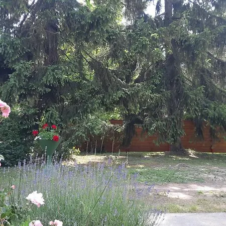 Schieszl 3 Σπίτι διακοπών *