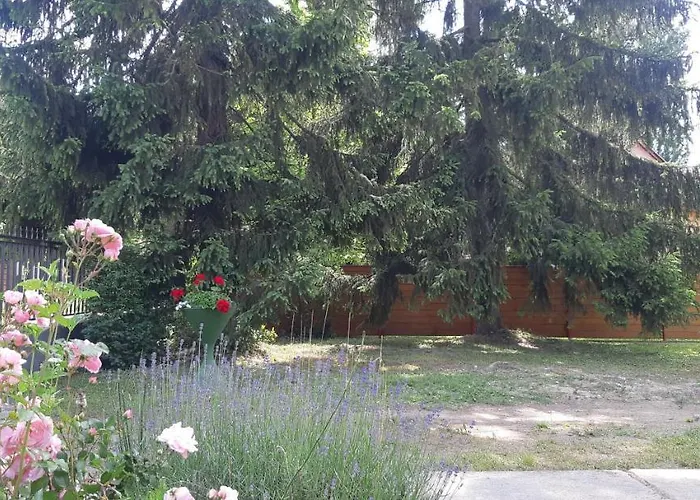 Schieszl 3 בית נופש *